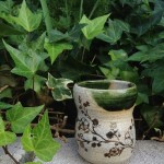 Testimonial #20 - 30-day pottery making in Seto